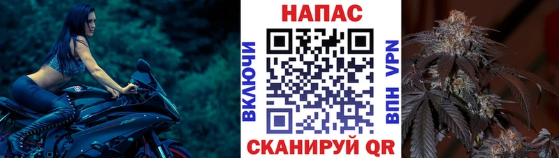 Шишки марихуана MAZAR  Фатеж 